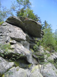 Bayerischer Wald , Juni 2007 046